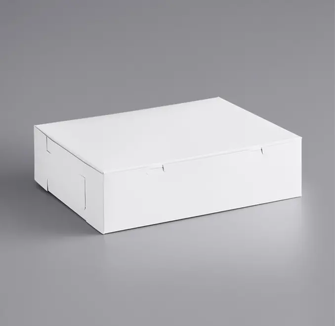 18.5" X 14.5" Large Rectangular Cake Storage Box 1