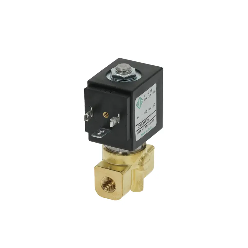 220V 50/60Hz 8W Two-Way Solenoid Valve — 1/8" Female Threaded Ports 1