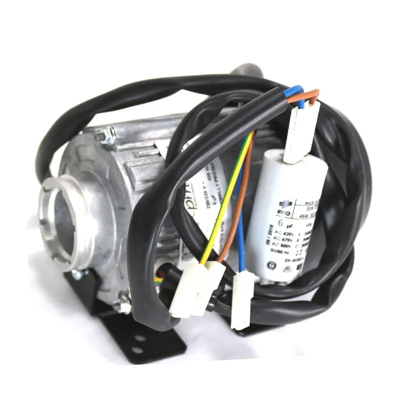 240V Internal Espresso Machine Pump Motor – High-Performance Submersible Unit 1