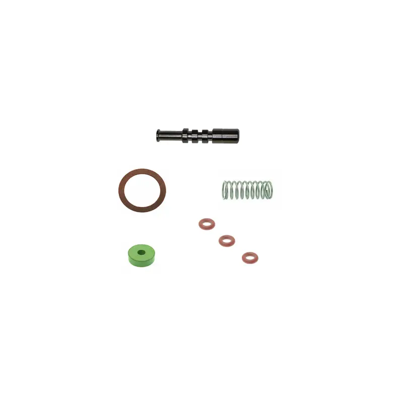 Ascaso Dvg Steam Valve Rebuild Kit With O-Rings And Springs 1