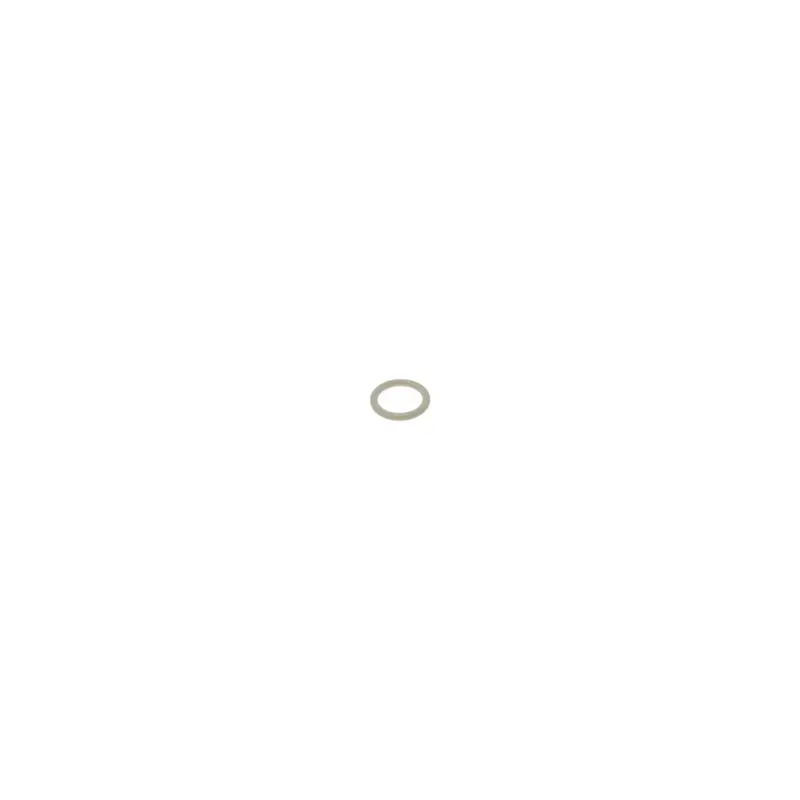 Ascaso Large O-Ring For Stainless Steel Steam Wand Tip 1