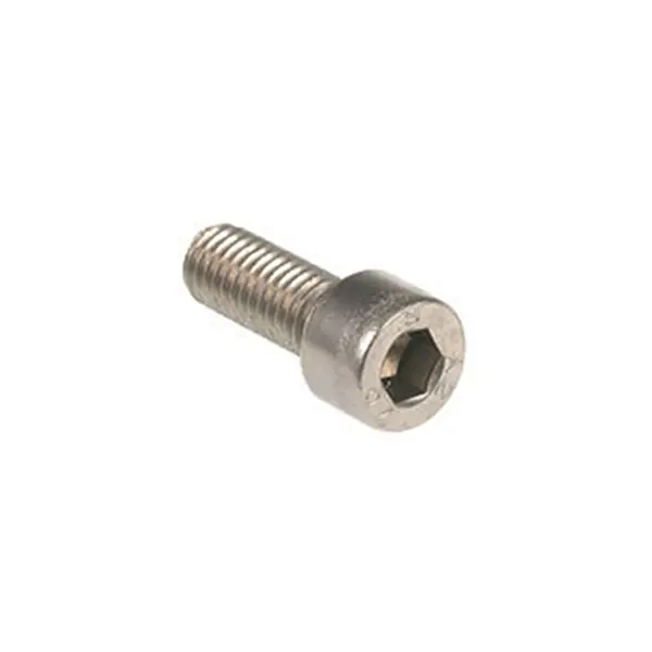Astoria Frame-To-Boiler Securing Screw 1