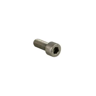 Astoria Group Head To Boiler Flange Mounting Screw 1