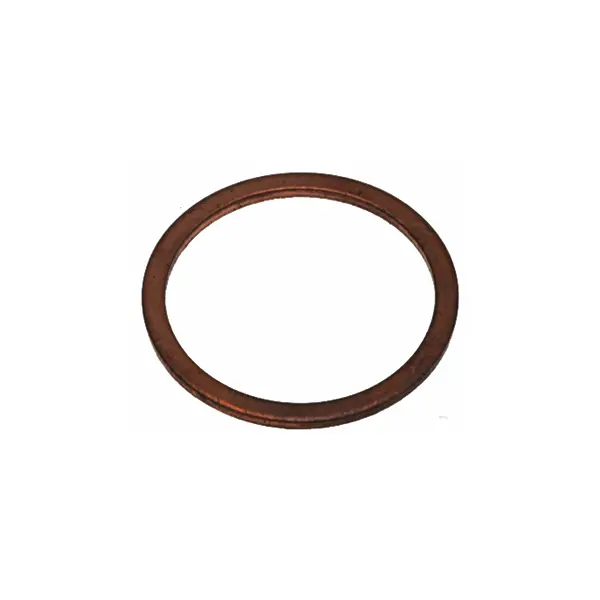Bezzera Group Head Steam Valve Body Gasket 1