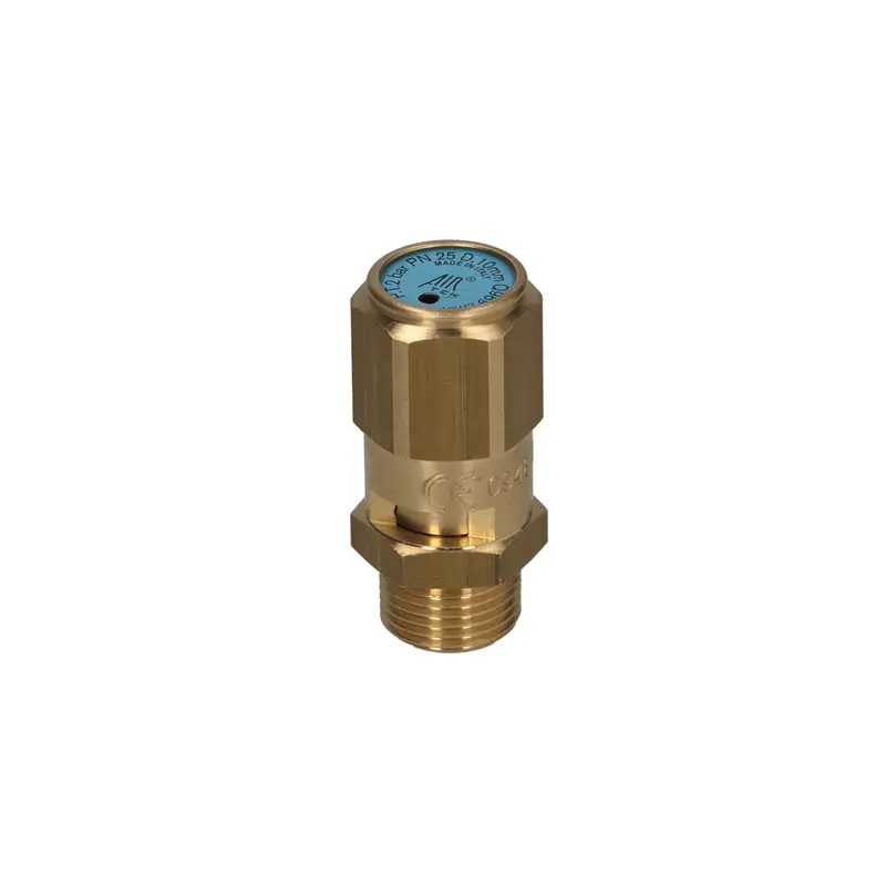 Ce-Ped Certified Safety Relief Valve 1