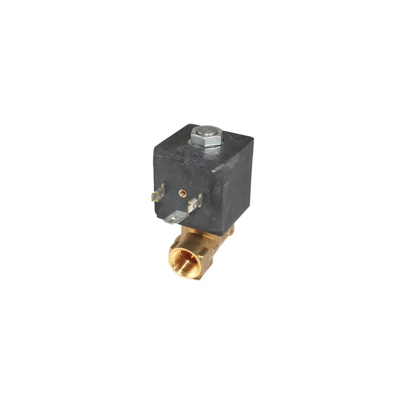 Ceme 115V 1/4" Two-Way Adjustable Hot Water Solenoid 1