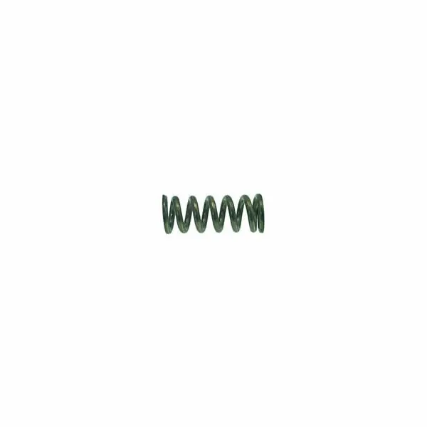 Dual-Purpose Rear Steam/Water Valve Return Spring 1