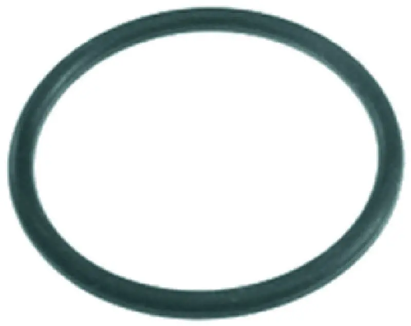 Dvg Water Softener Lid O-Ring Seal 1
