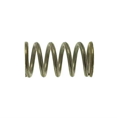Expansion And Non-Return Valve Spring 1