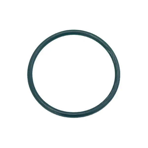 La San Marco Group Flange And Rancilio Boiler Dual-Use O-Ring 1