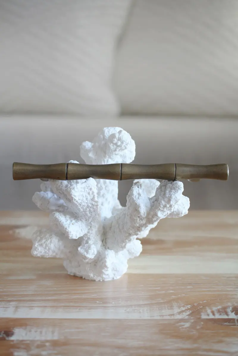 Large Bamboo-Themed Cabinet Pull – Polished Brass 1