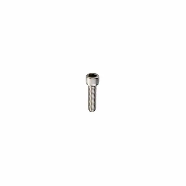 Lever Group Upper Cap Fastening Screw – Stainless Steel 1