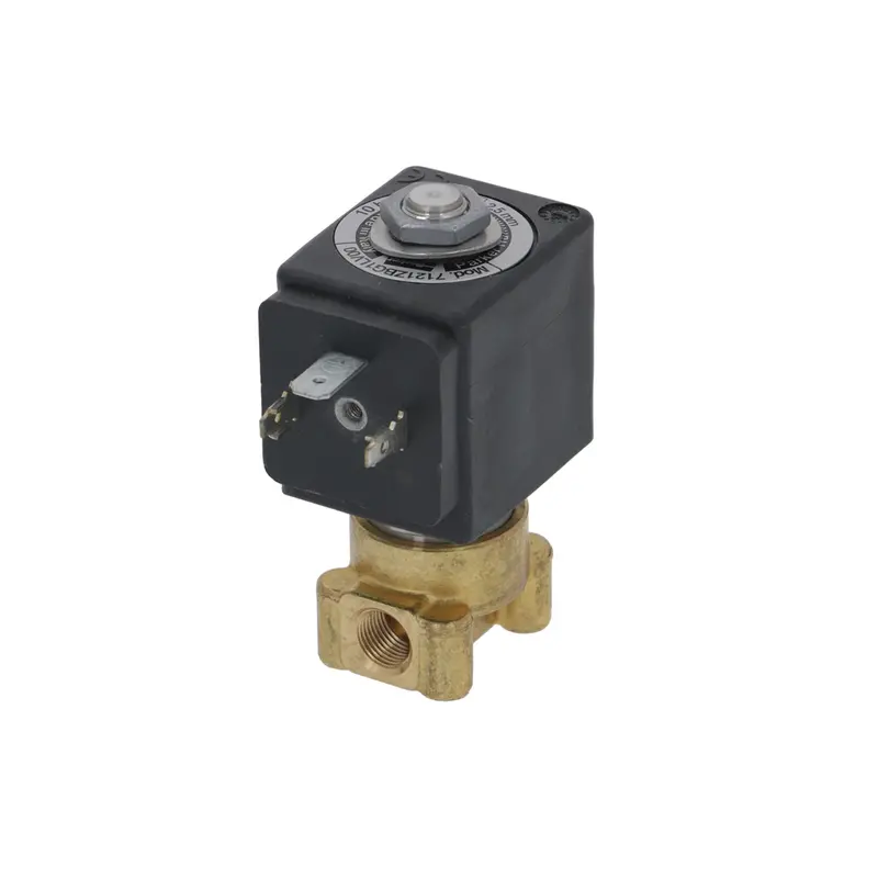 Lucifer 110V Two-Way Solenoid Valve – 9W, 1/8-Inch Npt 1