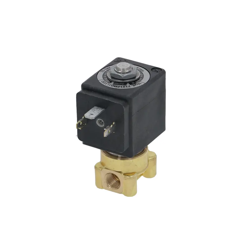 Lucifer 220V Two-Way Solenoid – 9W, 1/8-Inch Npt 1