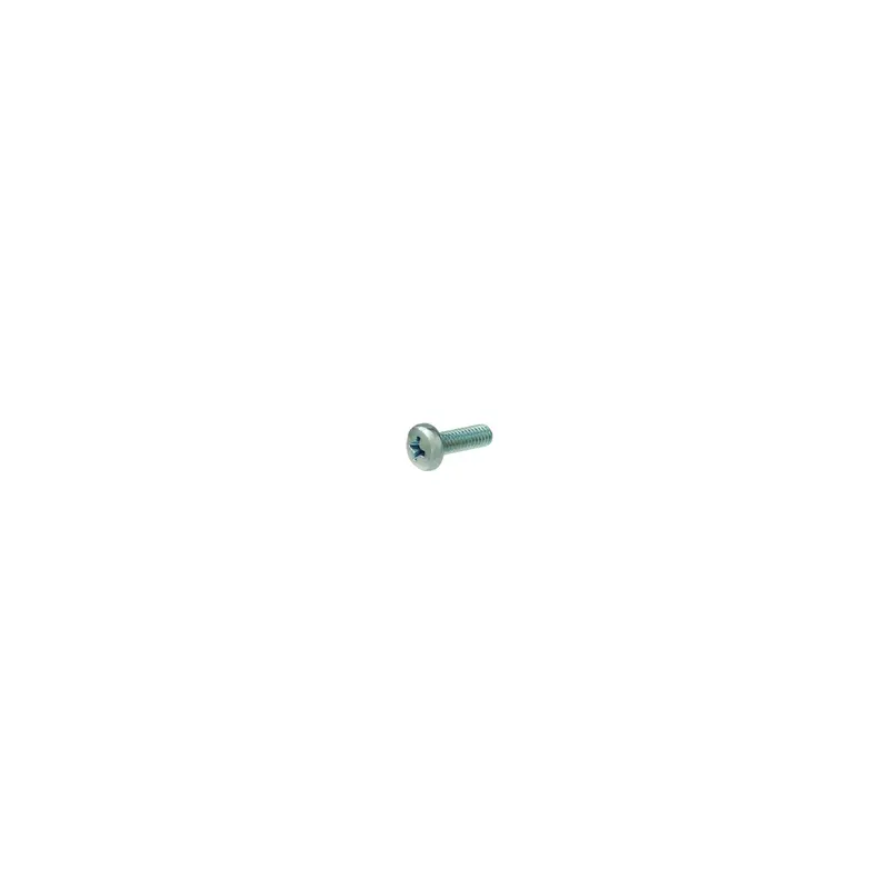 M4 × 12Mm Zinc-Plated Tapping Screw (Aq Tc Type) 1