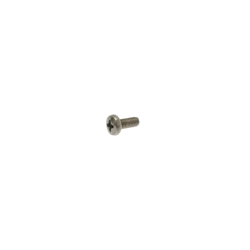 M4 × 6 Mm Phillips Head Machine Screw (Stainless Steel) 1