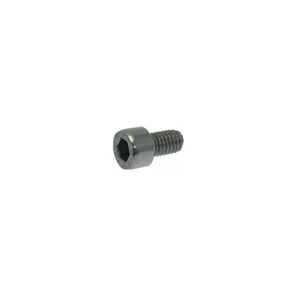 M6 × 10 Mm Hex Socket Cap Screw 1