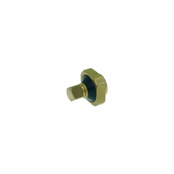 Non-Return Inlet Check Valve 1
