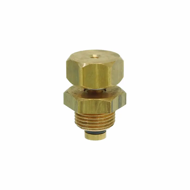 Rancilio 3/8" Anti-Vacuum Safety Valve 1