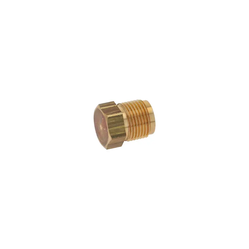 Rancilio Boiler Fitting End Cap 1