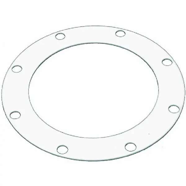 Rancilio Ptfe Boiler End-Cap Gasket – 8-Hole Design 1