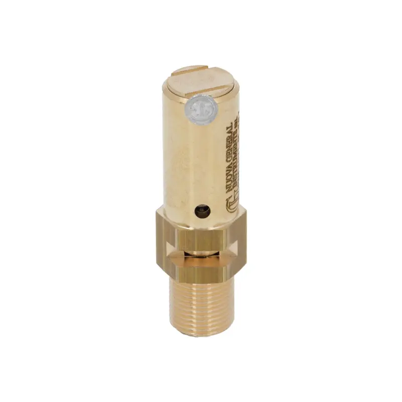 Sanremo Boiler Safety Relief Valve – 1.8 Bar Rating 1