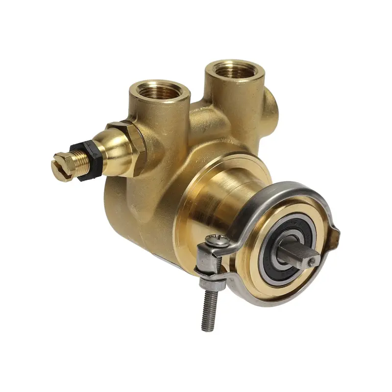 Sanremo Compact Rotary Vane Pump With Clamp Flange Mount 1