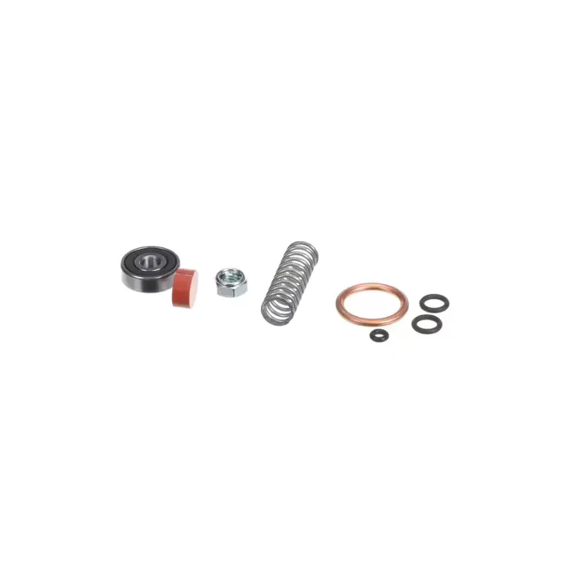 Sanremo Steam Valve Front Rebuild Kit – Compatible With Legacy F18 Models 1