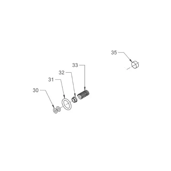 Sanremo Steam Valve Rebuild & Service Kit 1