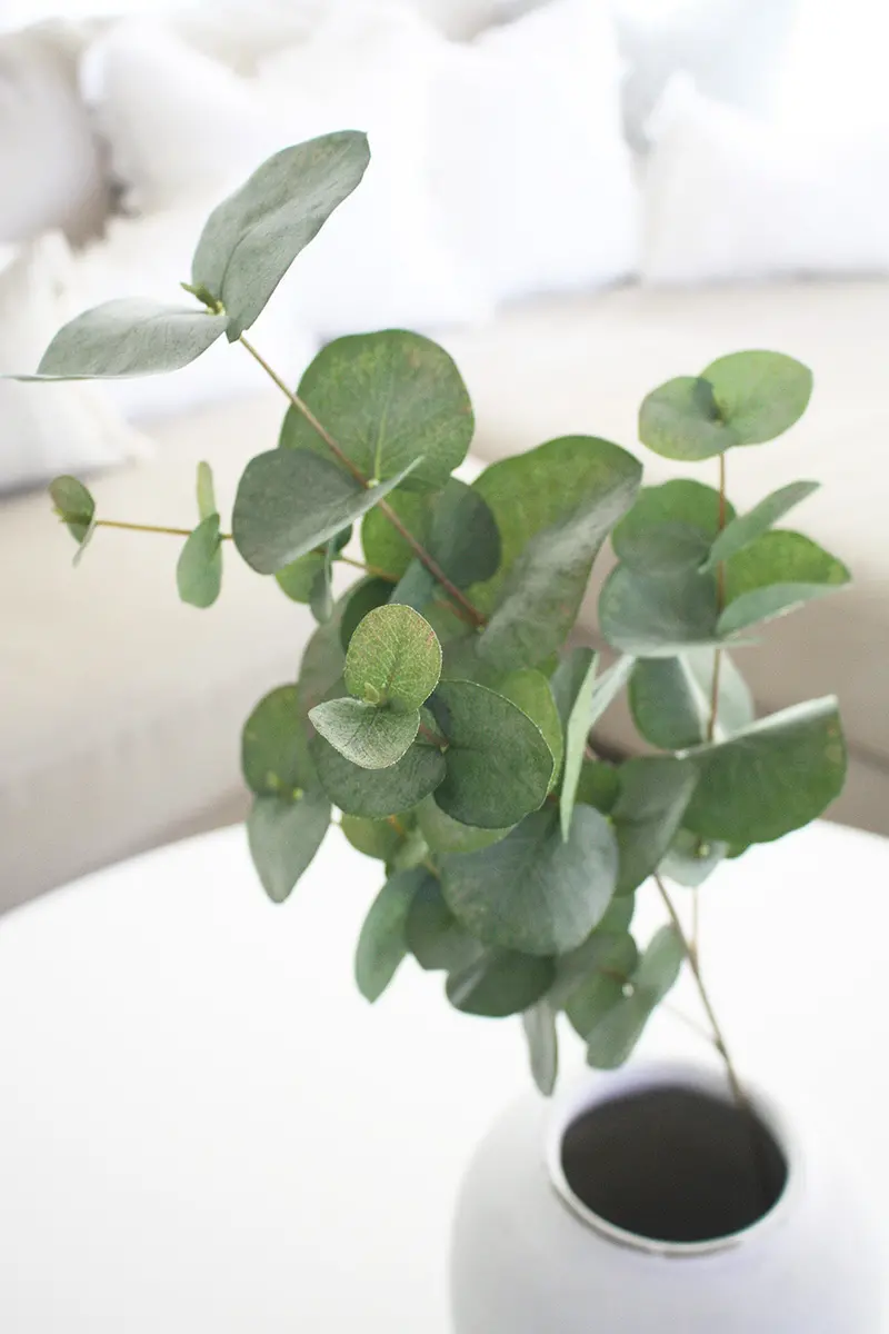 Silver Dollar Eucalyptus Stem – Lifelike 87Cm Faux Greenery Spray 1