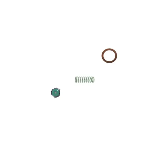 Slayer Slkit2 Side-Mounted Steam Valve Rebuild Kit 1