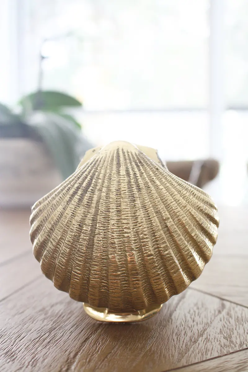 Small Scallop Shell Door Knocker In Polished Brass 1