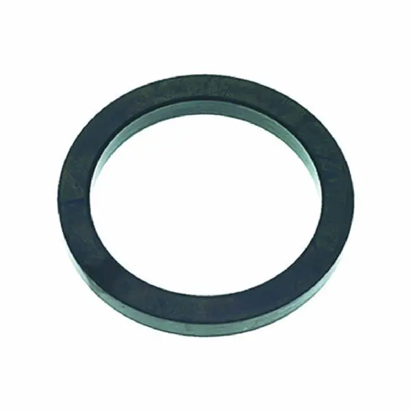 Standard Faema/E61 Portafilter Group Head Gasket 1