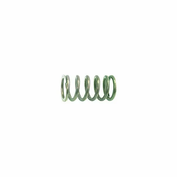 Steam/Water Retention Valve Rear Compression Spring 1