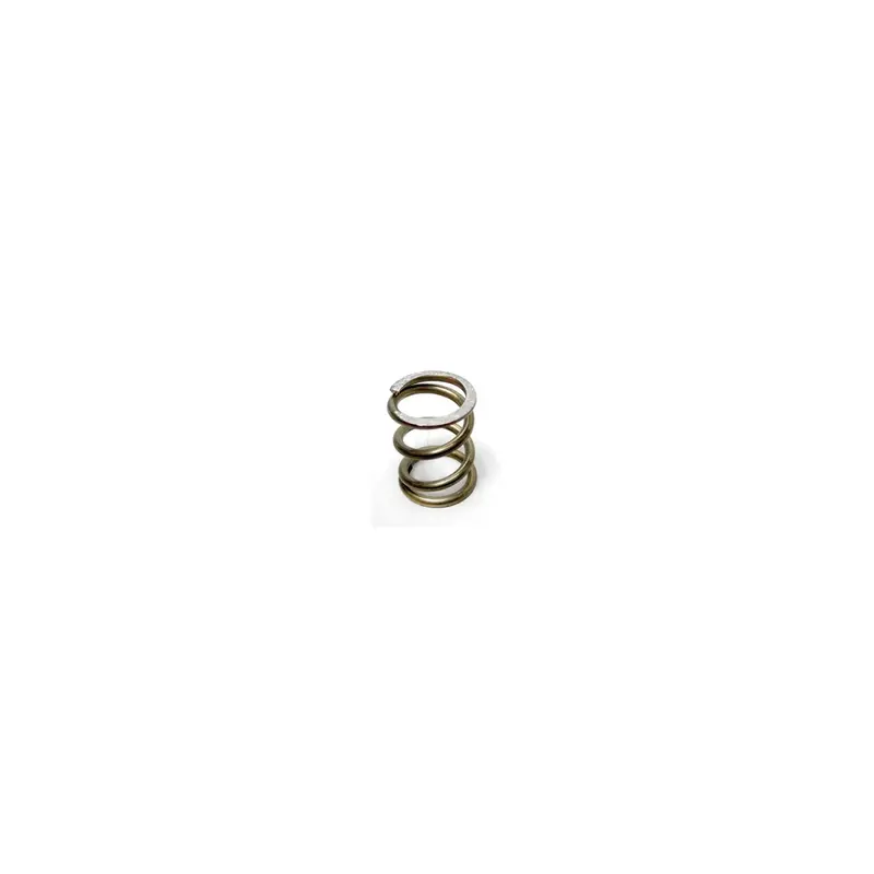 Steam/Water Wand Return Spring For Ascaso Espresso Machines 1