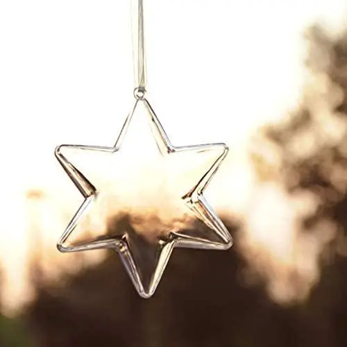 Transparent Fillable Star Charm 1