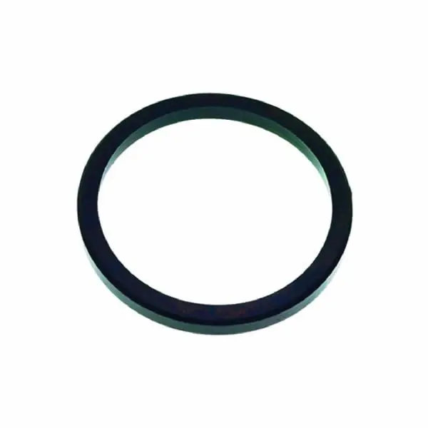 Victoria Arduino Athena Leva Espresso Group Head Gasket 1