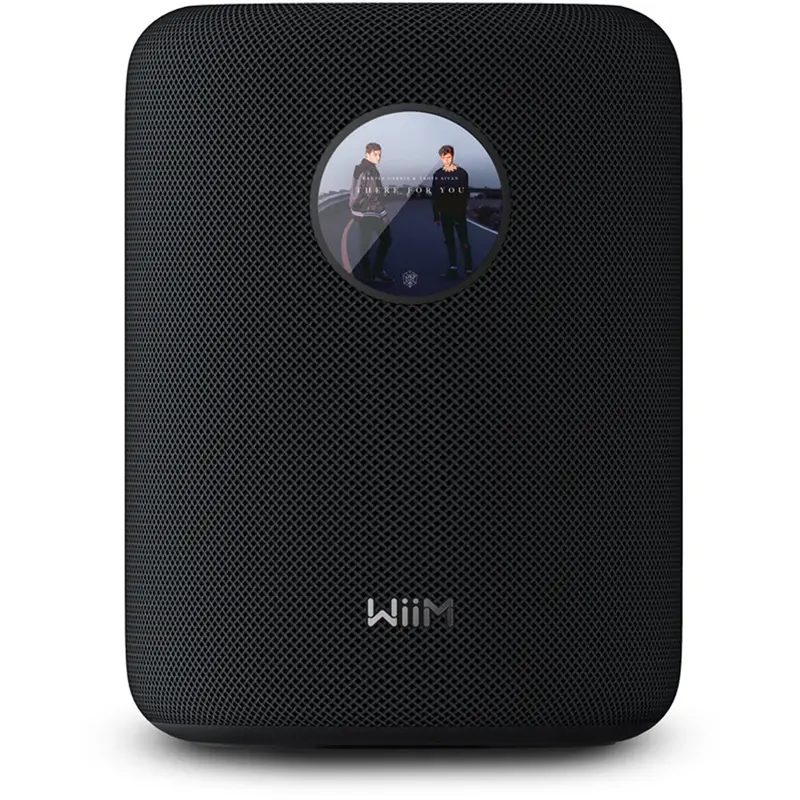 Wiim Sound Wireless Multiroom Smart Speaker With Display – Black 1